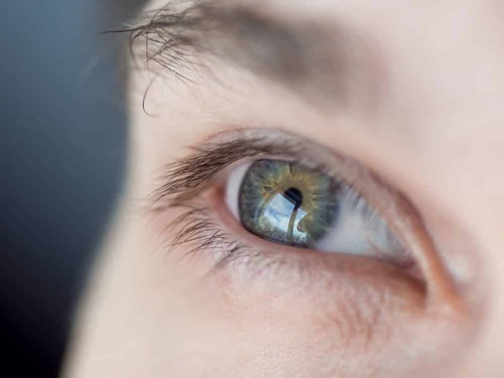close-up of human eye