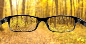 Glasses-Held-Out-in-Front-of-Autumn-Woods