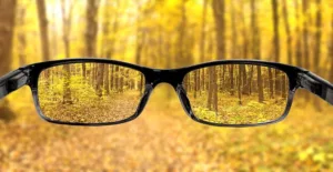 Glasses Held Out in Front of Autumn Woods